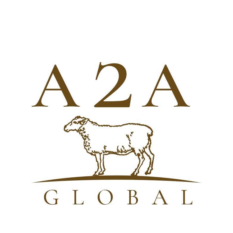 A2A Global